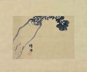 大根