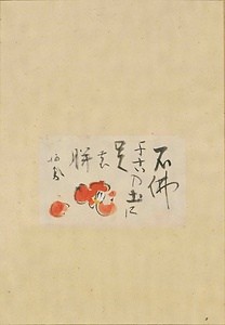 落椿