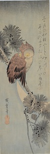 月に松上の木菟