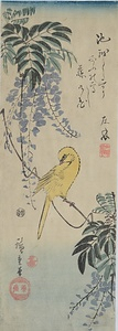 藤にカナリア