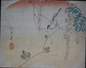 藤に小鳥