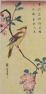 海棠に高麗鶯
