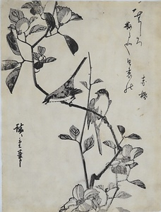 椿に鶯