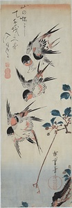 姫海棠に燕