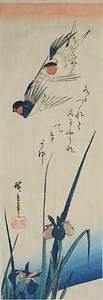 燕子花に燕