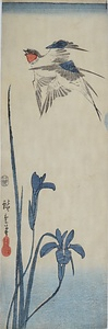 燕子花に燕