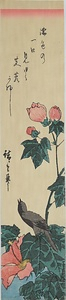 芙蓉に小鳥