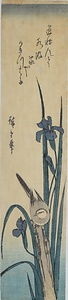 燕子花に小鳥