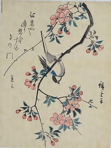 海棠に四十雀