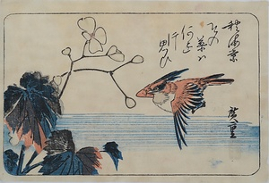 秋海棠に小鳥