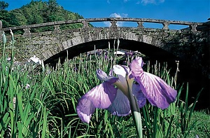 甘木市秋月（城下町　福岡） あまぎし　あきづき（じょうかまち　ふくおか）