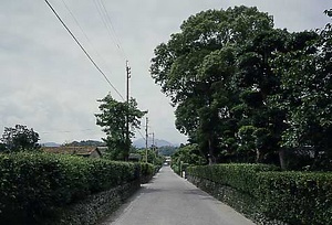 出水市出水麓（武家町　鹿児島） いずみし　いずみふもと（ぶけまち　かごしま）