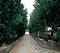 渡名喜村渡名喜島（島の農村集落　沖縄）