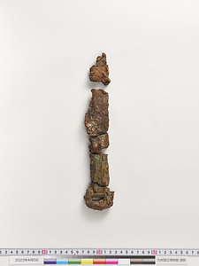 素環頭大刀 そかんとうたち
