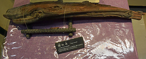 阿蘇４火砕流埋もれ木