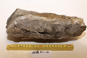 先阿蘇・荻岳流紋岩