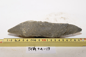 権現山