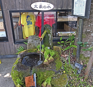 文豪の水