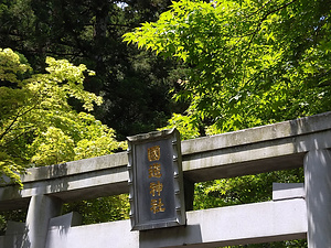国造神社の水