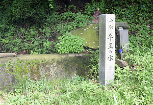 牛王の水