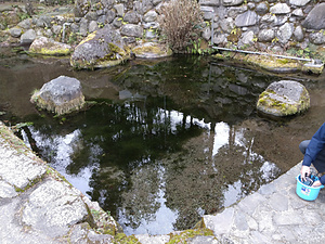 妙見神社の池