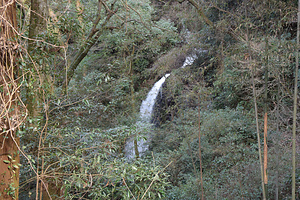 白糸の滝