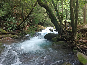 立岩水源