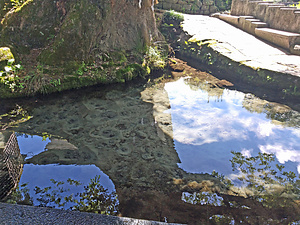 けやき水源
