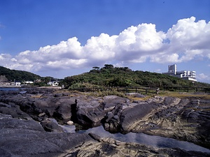 天神島、笠島及び周辺水域 てんじんじま、かさじまおよびしゅうへんすいいき