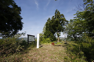 犬伏城跡