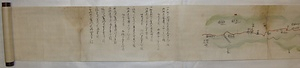 「砺波郡御巡見御道筋手絵図」 となみごおりごじゅんけんおみちすじてえず