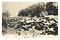 絵葉書「高岡公園八景」