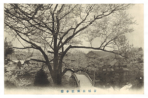 絵葉書「高岡公園八景」 えはがき「たかおかこうえんはっけい」