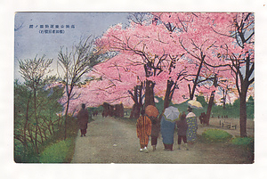 絵葉書（高岡・桜馬場公園） えはがき（たかおか・さくらばばこうえん）