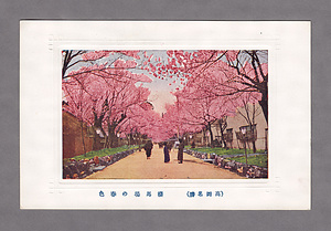 絵葉書「高岡風景・自然の美」 えはがき「たかおかふうけい・しぜんのび」