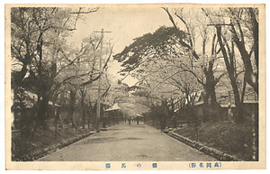 絵葉書「（高岡名勝）桜の馬場」 えはがき「（たかおかめいしょう）さくらのばば」