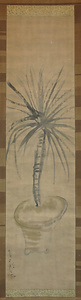 紙本墨画淡彩蘇鉄図