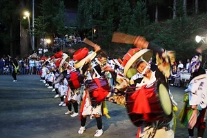 さんさ踊り さんさおどり