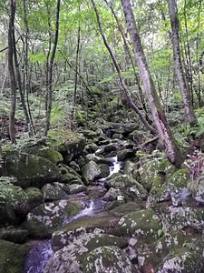 横根山の岩海 よこねやまのがんかい