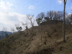 寺山城跡