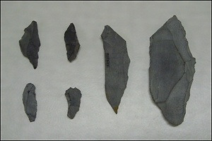 長原遺跡出土旧石器資料