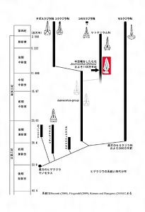 高崎市吉井町産出のジョウモウクジラ化石 たかさきしよしいまちさんしゅつのじょうもうくじらかせき