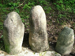 大明神沢の草木塔 だいみょうじんさわのそうもくとう
