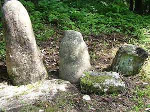 大明神沢の草木塔 だいみょうじんさわのそうもくとう