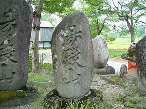 赤芝の草木塔 あかしばのそうもくとう