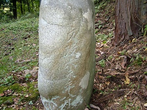 下中原の草木塔 しもなかはらのそうもくとう
