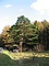 三本松の山の神