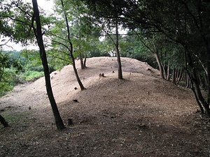 夕田茶臼山古墳