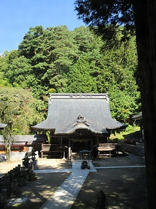 牛伏寺ブナ林 ごふくじぶなりん