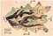 田染荘の村絵図